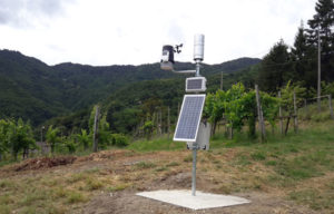 Impianto pluviometrico ridondato in Località Casali nel Comune di Borzonasca (515 m s.l.m), per il monitoraggio dei fenomeni in Alta Valle Sturla.